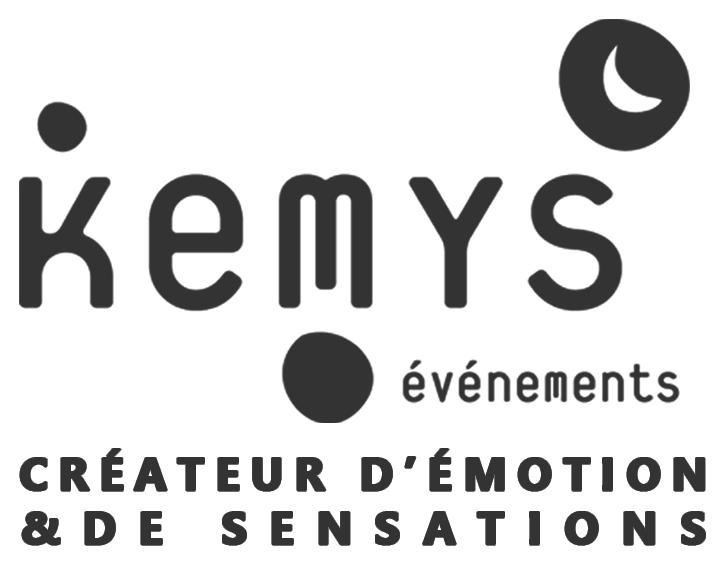 Logo Kemys gris