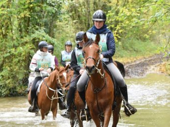Challenge endurance (2)