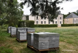 Domaine de la Briouse Sanxay 20