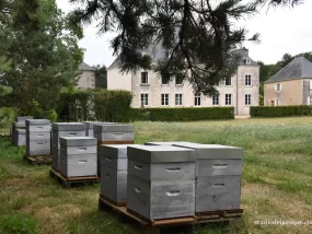Domaine de la Briouse Sanxay 20