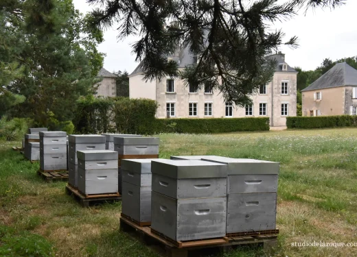 Domaine de la Briouse Sanxay 20