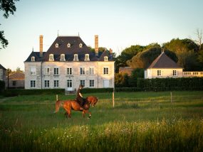 Haras de la Briouse (1)