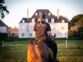 Haras de la Briouse (4)