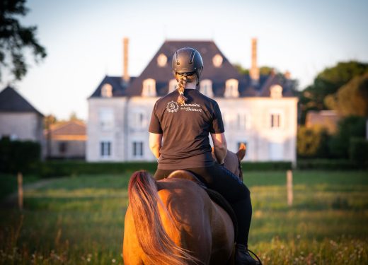 Haras de la Briouse (4)