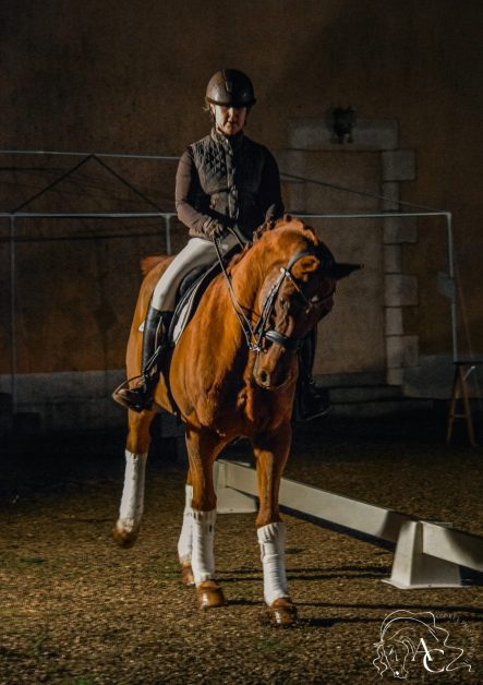 Haras de la Briouse